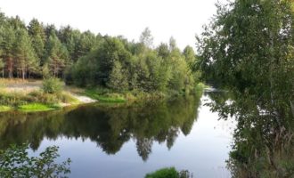 Река Узола в селе Налескино